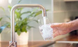 Infant Gut Microbiome May Be Altered by Chlorinated Tap Water
