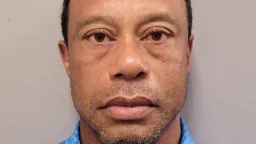 Tiger Woods Blamed Phone Use, Police Found Signs of Impairment in Crash