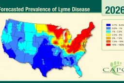 Tick Season 2026: Record ER Visits Signal Worst Outbreak in a Decade