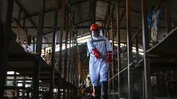 Uganda Closes Border with DR Congo as Rare Ebola Cases Surge
