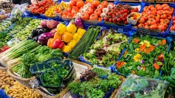 Vegetarian Diets Linked to Lower Cancer Risks in Landmark Study