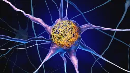 Vitamin D Linked to Reduced Alzheimer's Protein Buildup
