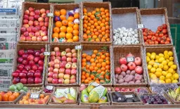 Vegetarian Diets Linked to Lower Cancer Risk in Major Study