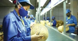 Vietnam Proposes Using Digital Assets as Loan Collateral for SMEs