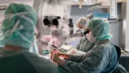 Why Brain Transplants Are Still Impossible