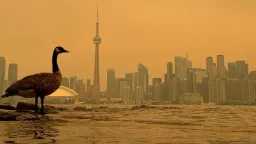 Wildfire Smoke From Canada Blankets Major US Cities