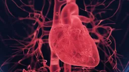 Doctors Say Labeling Women's Heart Attack Symptoms as 'Atypical' is Dangerous