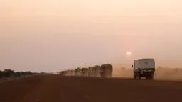 Global Crises Intensify: Hunger Soars, Aid Blocked, Child Rights Focus