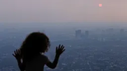 Wildfire Smoke: A Systemic Health Threat Beyond the Lungs