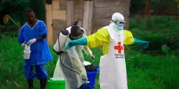 WHO Declares Ebola Outbreak in Central Africa a Public Health Emergency After 80 Suspected Deaths