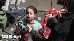 WHO Suspends Gaza Evacuations After Contractor Killed