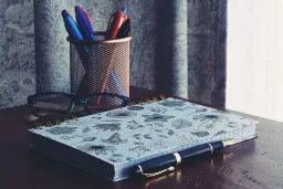 Joan Didion's Insight: The Stories We Live By
