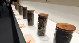 Medicinal Plants: Crucial for Ecosystems, Economies, and Global Health
