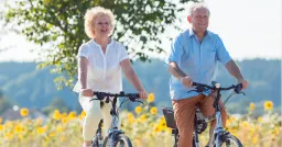Retirement Happiness: Routines Over Money