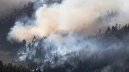 Wildfire Smoke Linked to Thousands of US Deaths Annually