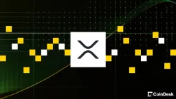 XRP Ledger's Anti-Flash Loan Architecture Becomes a DeFi Advantage