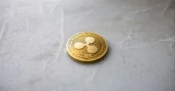 XRP Whale Wallets Hit Record High Amid Market Volatility