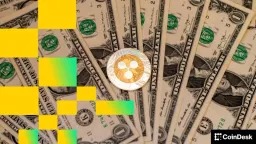 XRP Sees Historic Losses Amidst Network Activity Surge