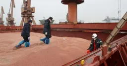 Xi-Trump Summit Expected to Tackle Agriculture as Soybean Imports Shift