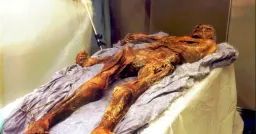 5,300-Year-Old Yeast from Iceman Mummy Used to Bake Sourdough Bread