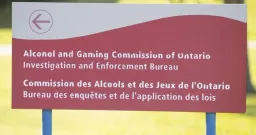 Young Men's Gambling Helpline Calls Skyrocket in Ontario