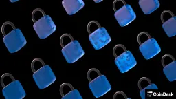 Zero-Knowledge Proofs: Resolving Finance's Privacy Paradox