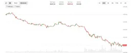 Zcash Plummets 30% as Shielded Labs Reveals Critical Bug Hidden for Four Years