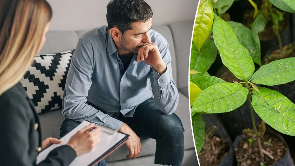 Psychedelic Compound Shows Promise in Cutting Depression Symptoms