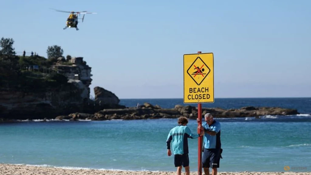 Sydney Beach Reopens Under Drone Patrol After Weekend Shark Attack
