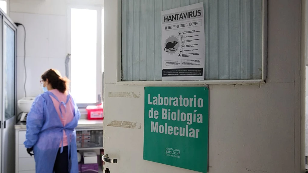 Race to Develop Hantavirus Vaccine After Deadly Cruise Outbreak
