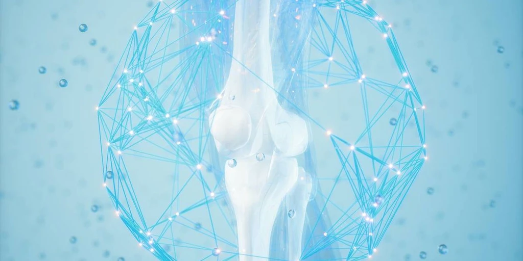 Tech Innovations Revolutionize Osteoporosis Detection and Treatment