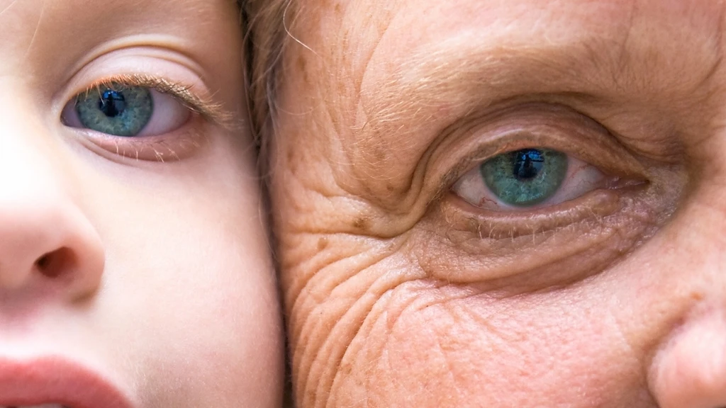 Study Identifies Aging Acceleration at Age 50