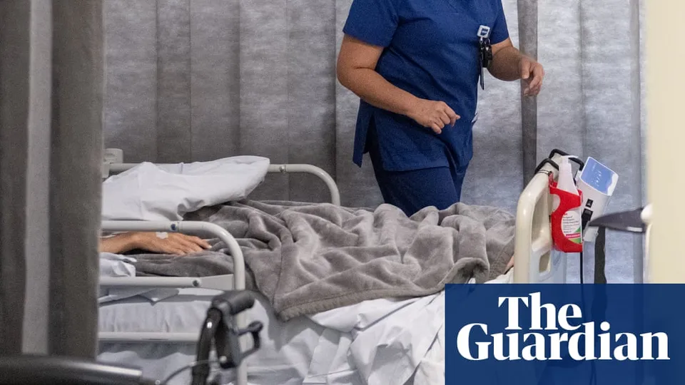NSW Mental Health Crisis: Escaped Patients Lead to Tragedies