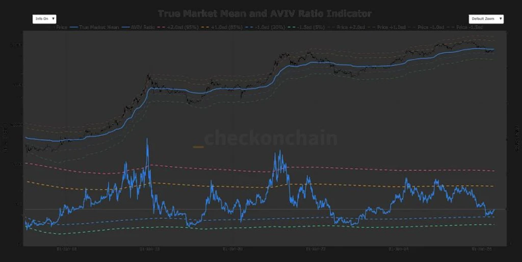 Bitcoin at a Crossroads: $79,200 Level to Dictate Next Major Move