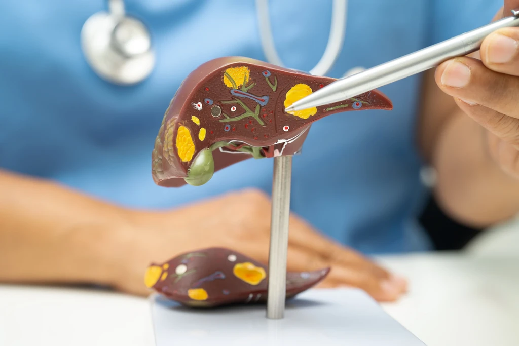 TREM2 Feedback Loop Drives Liver Fibrosis: Study Reveals Therapeutic Target