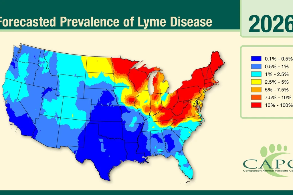 Tick Season 2026: Record ER Visits Signal Worst Outbreak in a Decade