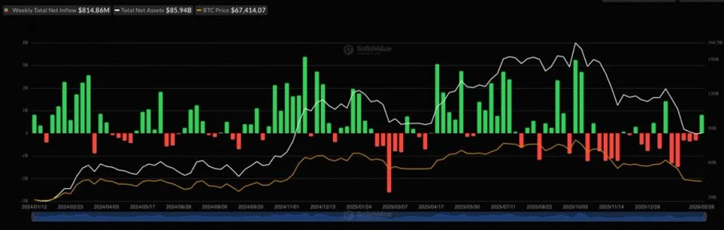 Bitcoin ETFs See Major Inflows, Signaling Renewed U.S. Demand