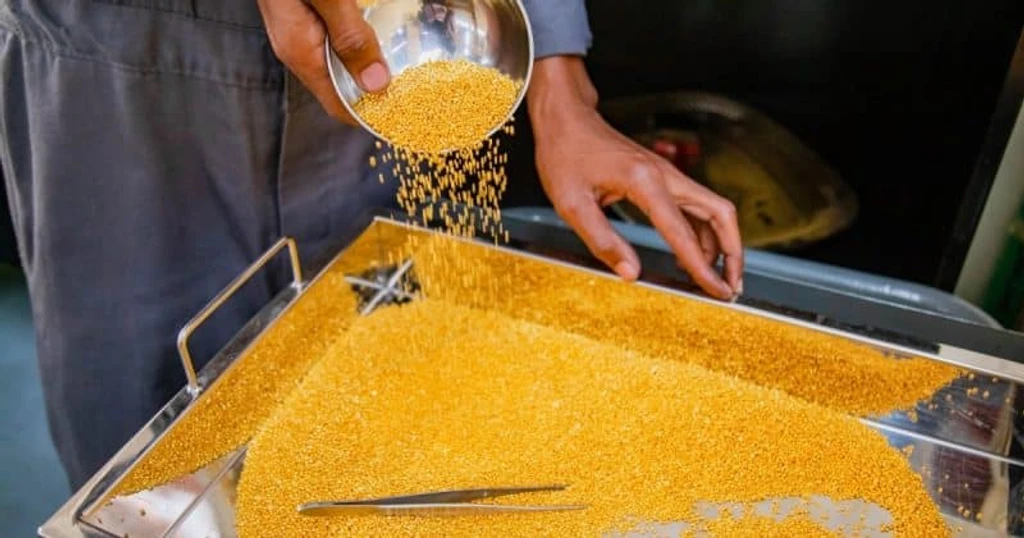 US Sanctions Rwandan Gold Refinery Over Congo Smuggling Allegations