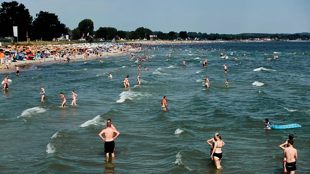 Rising Sea Temperatures Fuel Dangerous Flesh-Eating Bacteria Threat