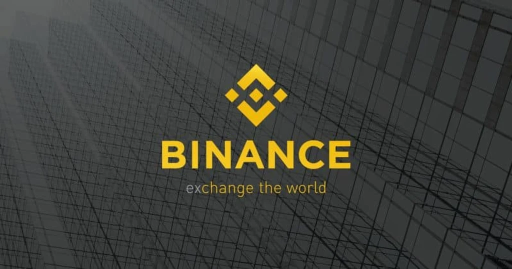Venezuela’s ‘Binance Dollar’ Economy: USDT Becomes De Facto Currency
