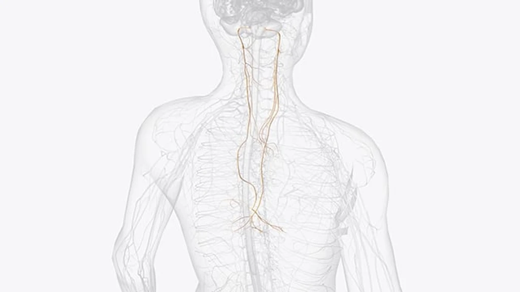 - Figure 2 -
