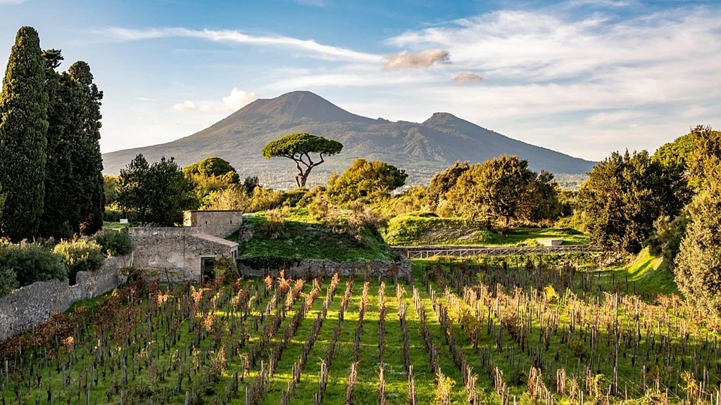 Pompeii Revives Ancient Wine Tradition with Modern Vineyards