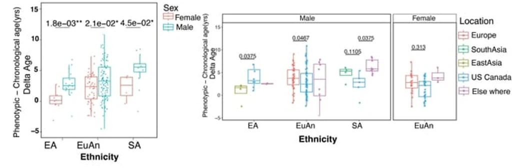- Figure 2 - 