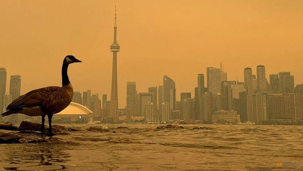 Wildfire Smoke From Canada Blankets Major US Cities