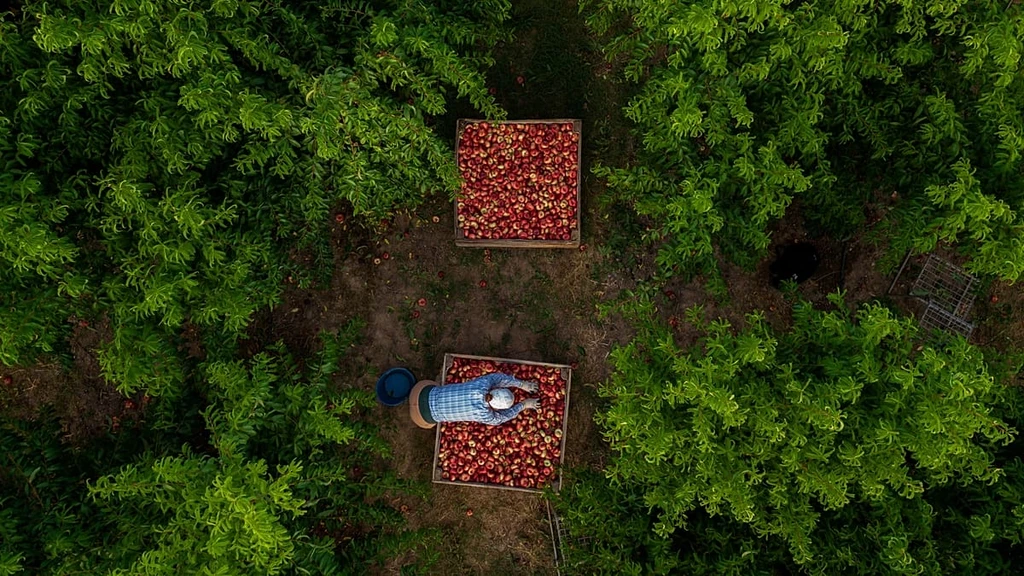 Europe's Heat Crisis Threatens Workers and Economic Growth