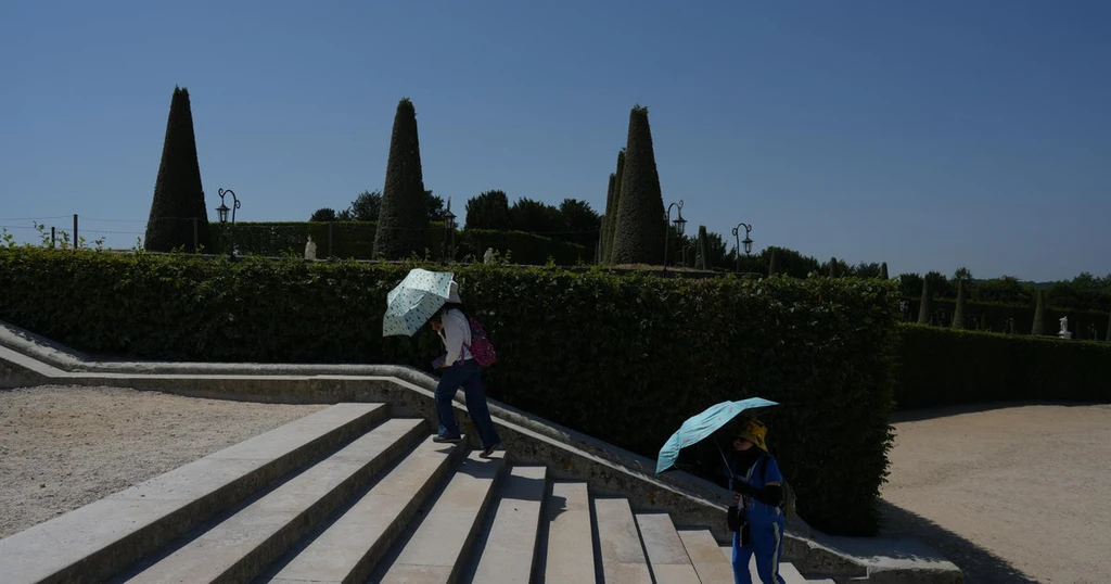 Western Europe Suffers Record June Heat, Deadly Wildfires Erupt