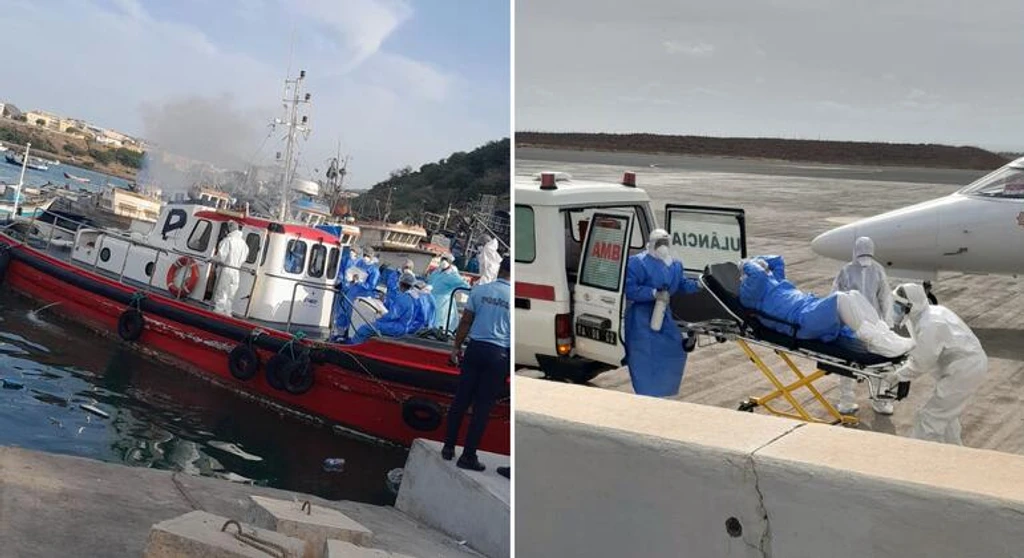 WHO Chief Heads to Tenerife as Hantavirus-Hit Ship Approaches