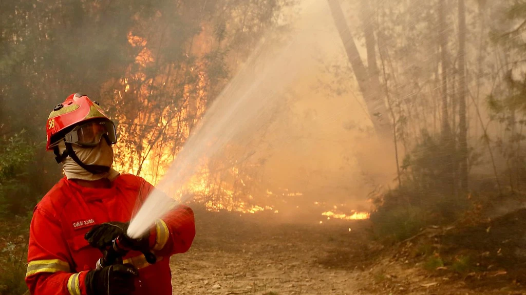 Portugal Battles Major Wildfires as Severe Heatwave Grips Nation