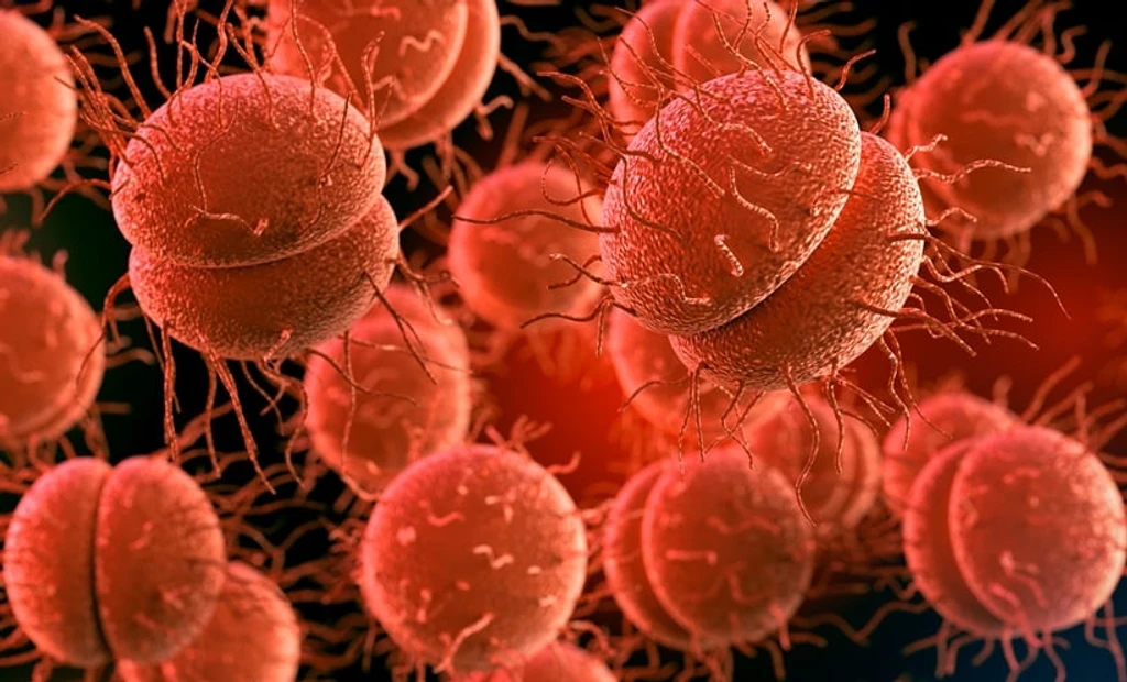 Meningitis Outbreak in UK: What You Need to Know