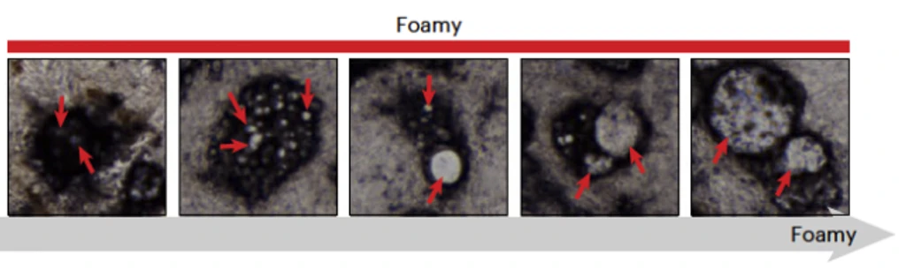 - Figure 1 - 